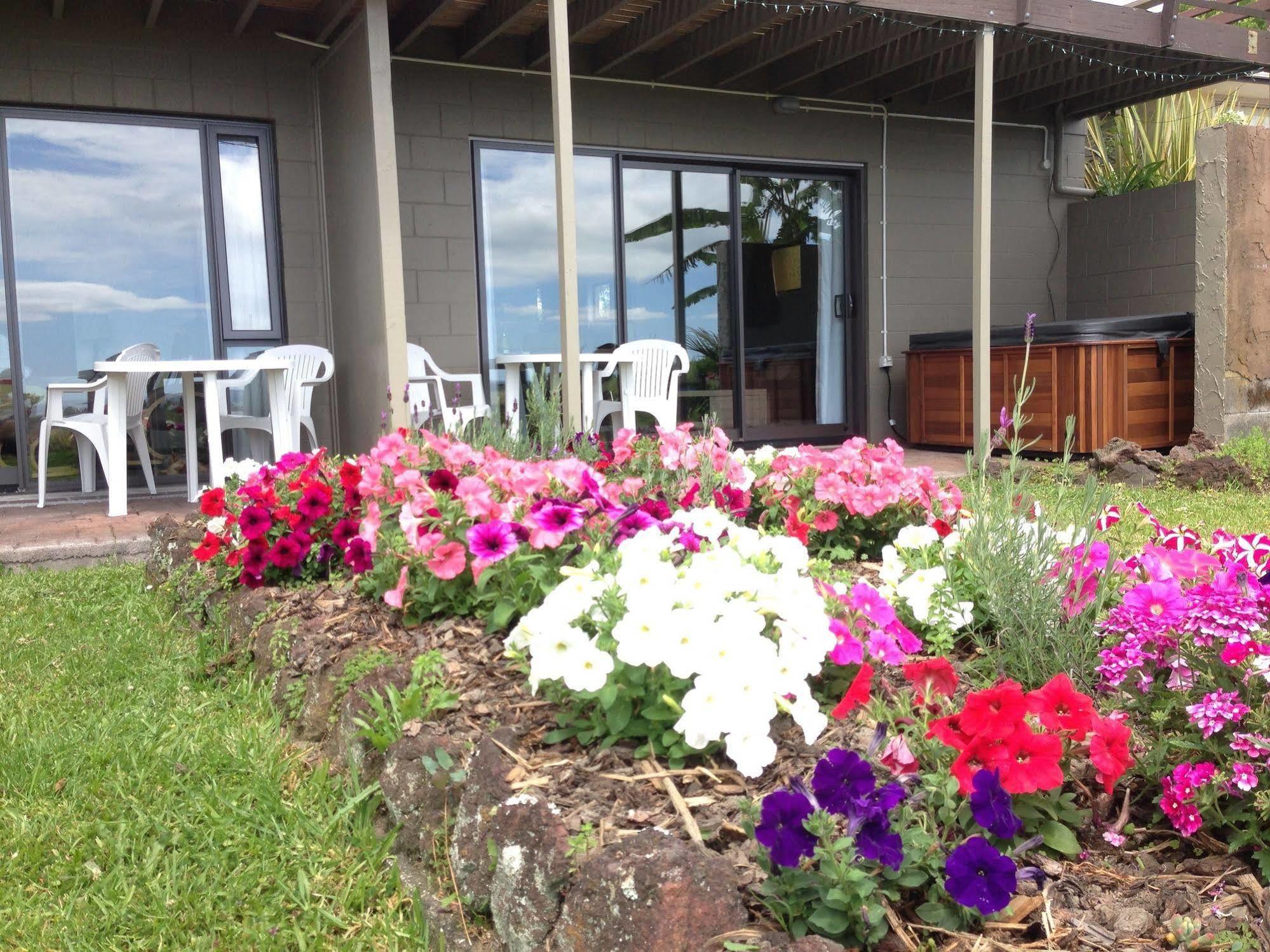 Bed and Breakfast Baywaterviews Haruru Exterior foto